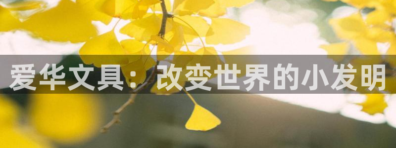 卧龙凤雏娱乐收入：爱华文具：改变世界的小