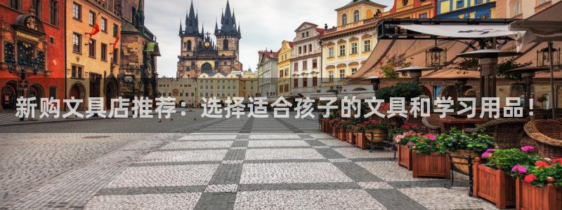 卧龙凤锄娱乐直播：新购文具店推荐：选择适