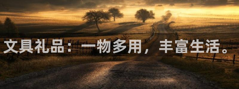 卧龙娱乐主管：文具礼品：一物多用，丰富生