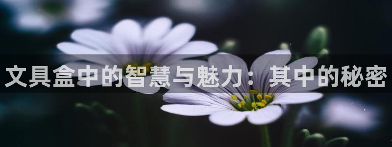 杏耀娱乐 0 47卧龙：文具盒中的智慧与