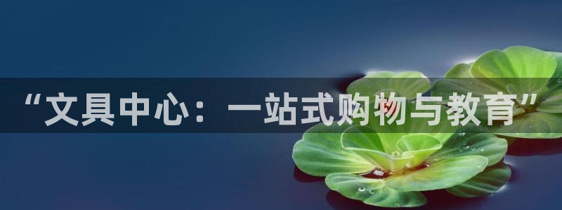 卧龙娱乐平台登录：“文具中心：一站式购物