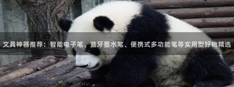 PT娱乐卧龙招商60447：文具神器推荐