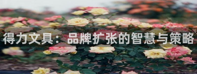 绥阳卧龙湖娱乐：得力文具：品牌扩张的智慧