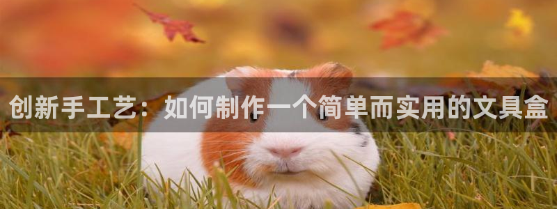 卧龙娱乐彩票兑奖中心：创新手工艺：如何制