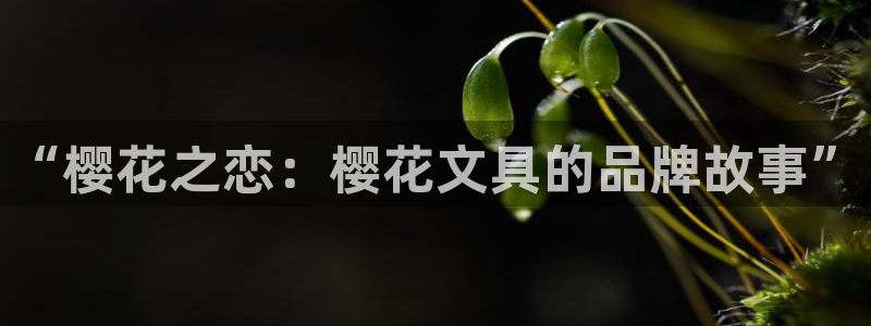 卧龙娱乐找382223：“樱花之恋：樱花