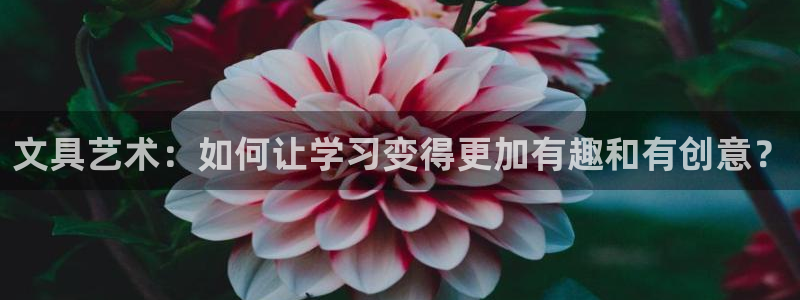 柏林娱乐  0 卧龙：文具艺术：如何让学