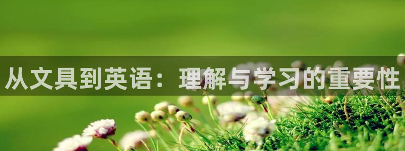 郑州卧龙娱乐设备：从文具到英语：理解与学