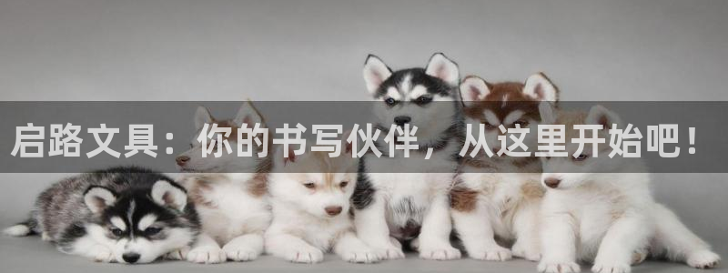 卧龙娱乐下载安装