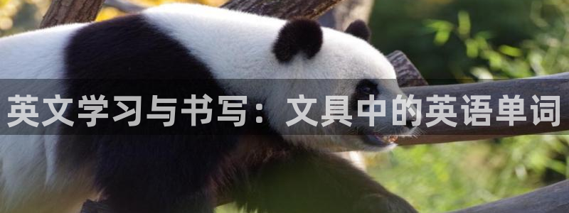 SKY娱乐 卧龙主管60447
