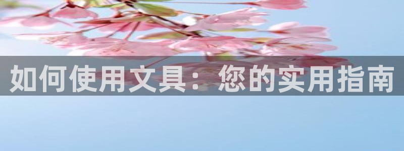 卧龙娱乐集团投注