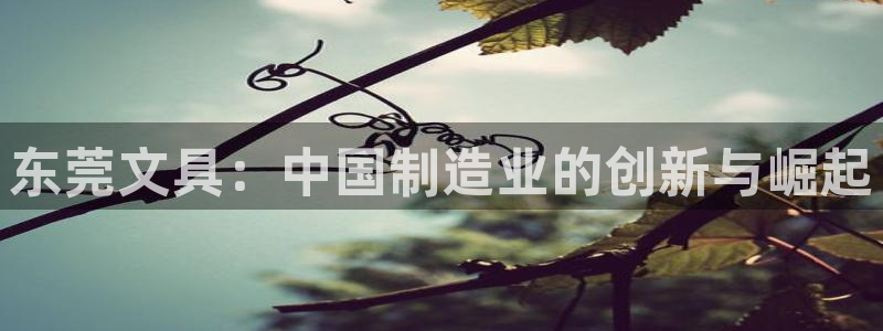 卧龙娱乐注册登陆：东莞文具：中国制造业的