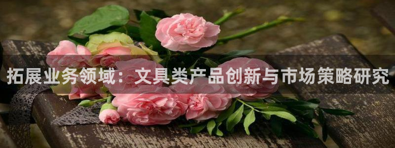 卧龙娱乐注册网址多少号：拓展业务领域：文