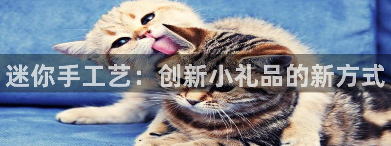 星鸿娱乐 0 47卧龙：迷你手工艺：创新